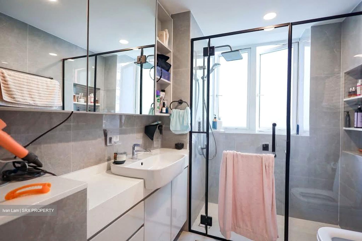Edelweiss Park Condominium (D17), Condominium #542877071